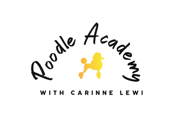 poodle-academy.com