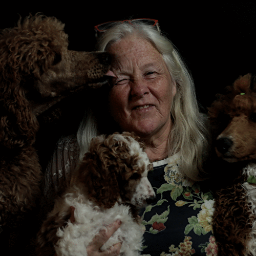 poedel hondentaal cursussen training