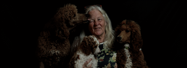 poedel hondentaal cursussen training