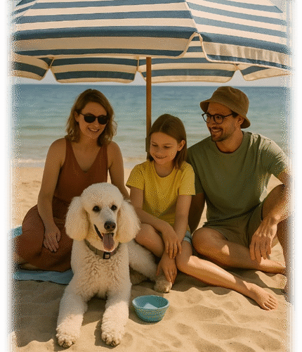 poedel hondentaal cursussen training