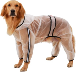 Poedel honden amazon